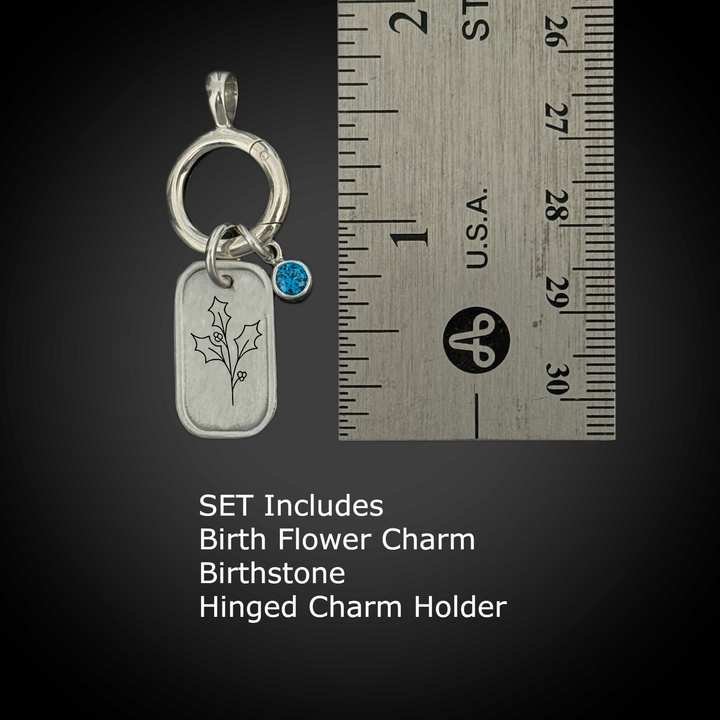 Personalized December Birth Month Holly Flower Charm: Zircon CZ Birthstone, Hinged Charm Holder easily add charms, Sterling Silver Pendant