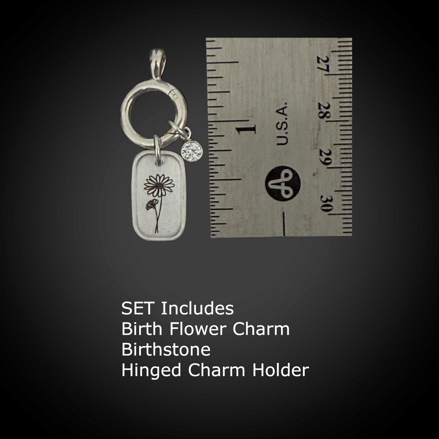 Personalized April Birth Month Daisy Flower Charm: CZ Diamond Birthstone, Hinged Charm Holder easily add charms, Sterling Silver Pendant