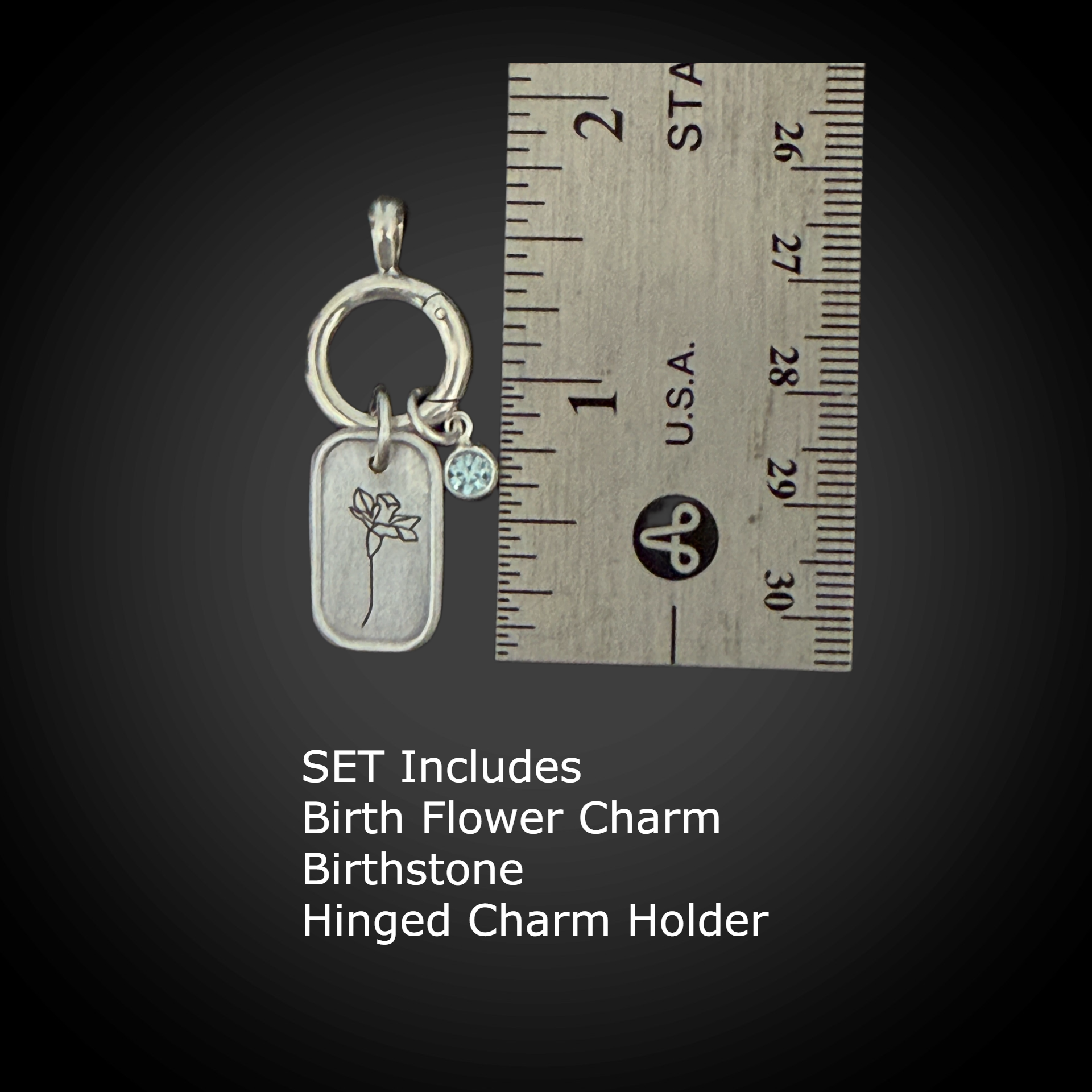 Silver charm set with birth flower charm, birthstone, and hinged charm holder on a wooden ruler against a black background.