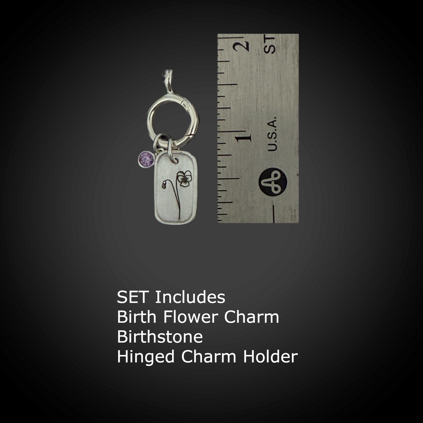 Personalized February Birth Month Violet Flower Charm: Amethyst CZ Birthstone, Hinged Charm Holder to add charms, Sterling Silver Pendant